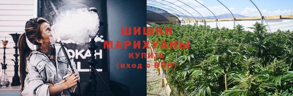 ГАЛЛЮЦИНОГЕННЫЕ ГРИБЫ Ладушкин
