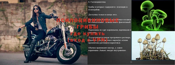 ГАЛЛЮЦИНОГЕННЫЕ ГРИБЫ Ладушкин