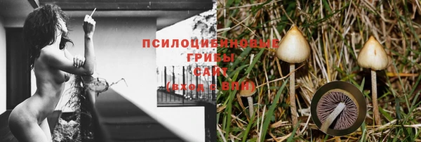ГАЛЛЮЦИНОГЕННЫЕ ГРИБЫ Ладушкин
